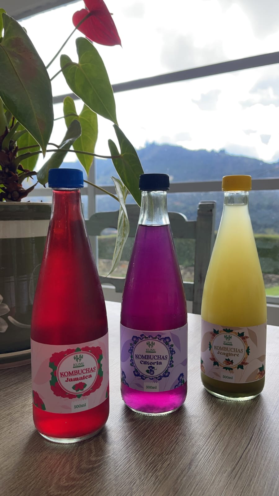 Kombucha